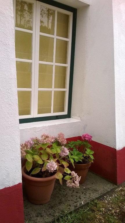 Monte Da Tojeirinha Guest House Монтаржил Екстериор снимка